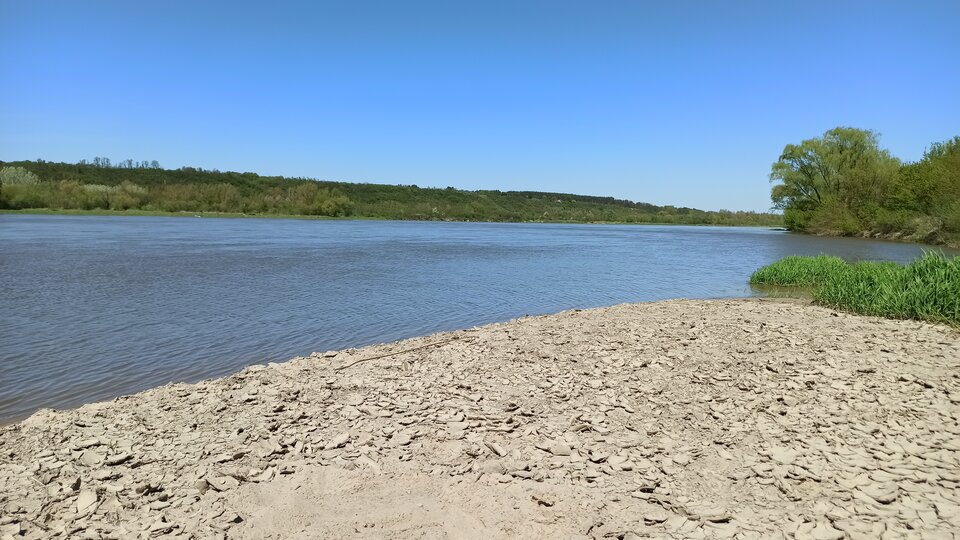 Plaża w Kazimierzu dziś 😊 - Sovilo