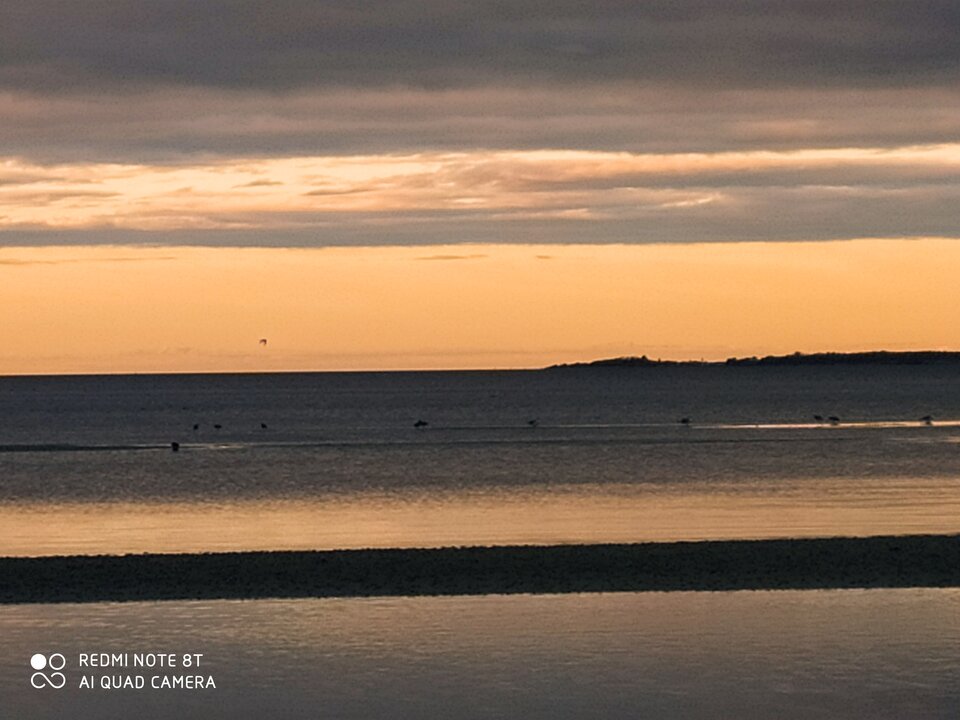 IMG_20201004_180614.jpg - daro1517