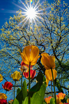 24mm na pełnej klatce