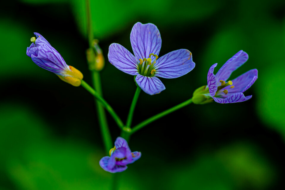 Małe jest piękne - mystic