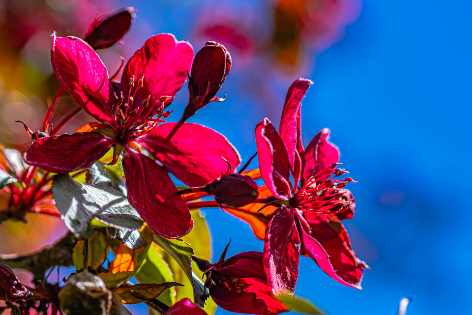 Kwitniemy ;) - mystic