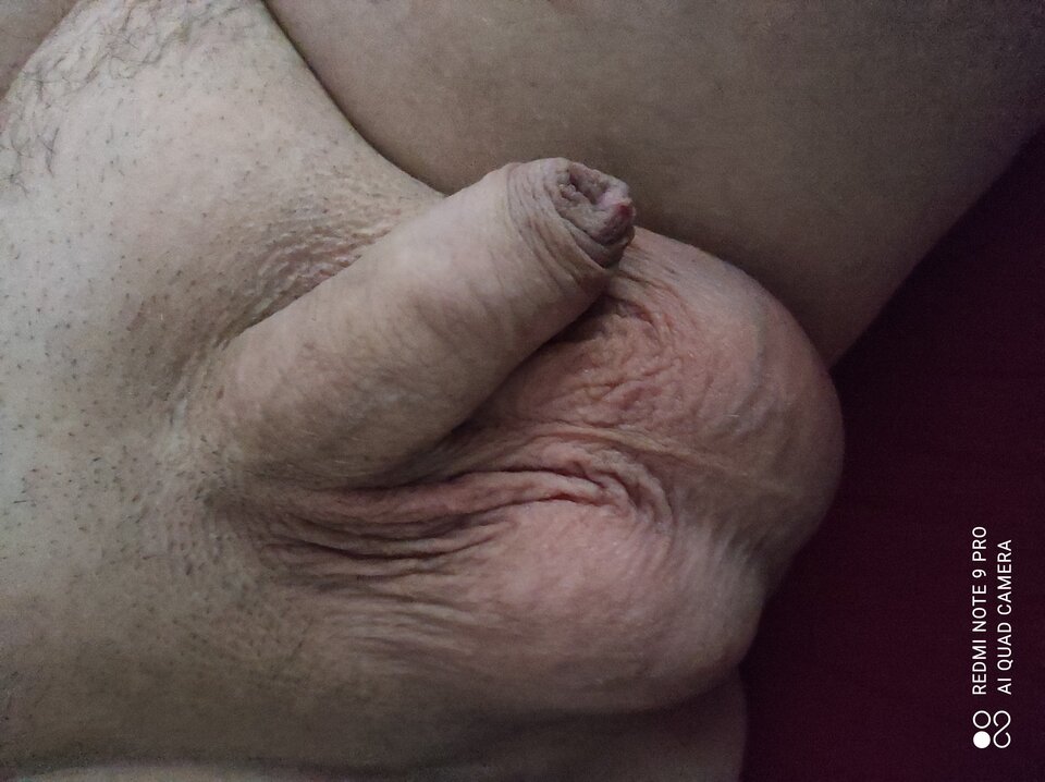 IMG_20210510_194324.jpg - pani35pan36