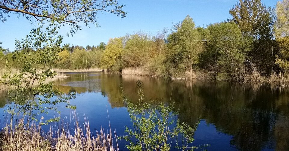 USER_SCOPED_TEMP_DATA_MSGR_PHOTO_FOR_UPLOAD_1620800137347_679812 - Petersad