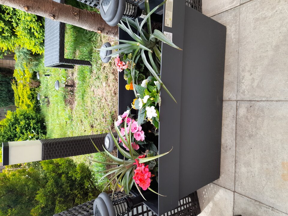 20210512_102949.jpg - adamm19777