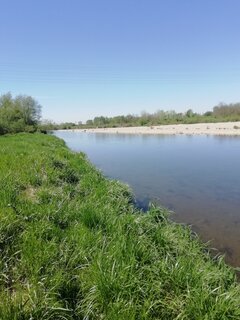 IMG_20210512_101939.jpg