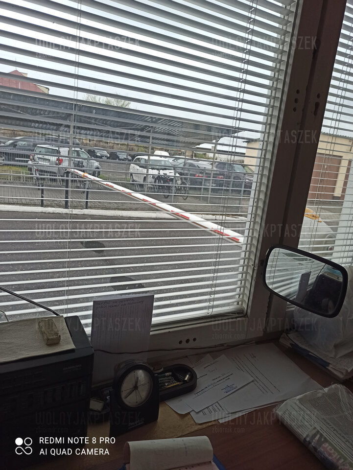 IMG_20210507_124101.jpg - wolnyjakPtaszek