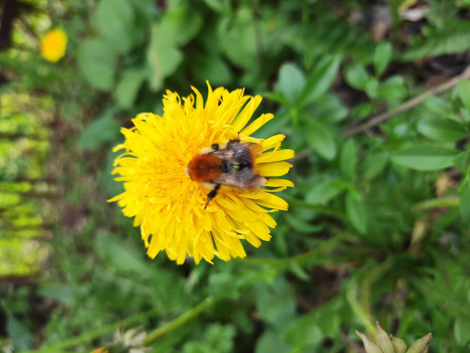 IMG_20210512_175952.jpg - 365ck