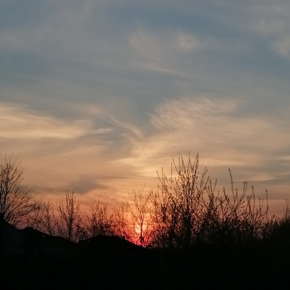 inbound8292895492585432484.jpg - DominaAnna71