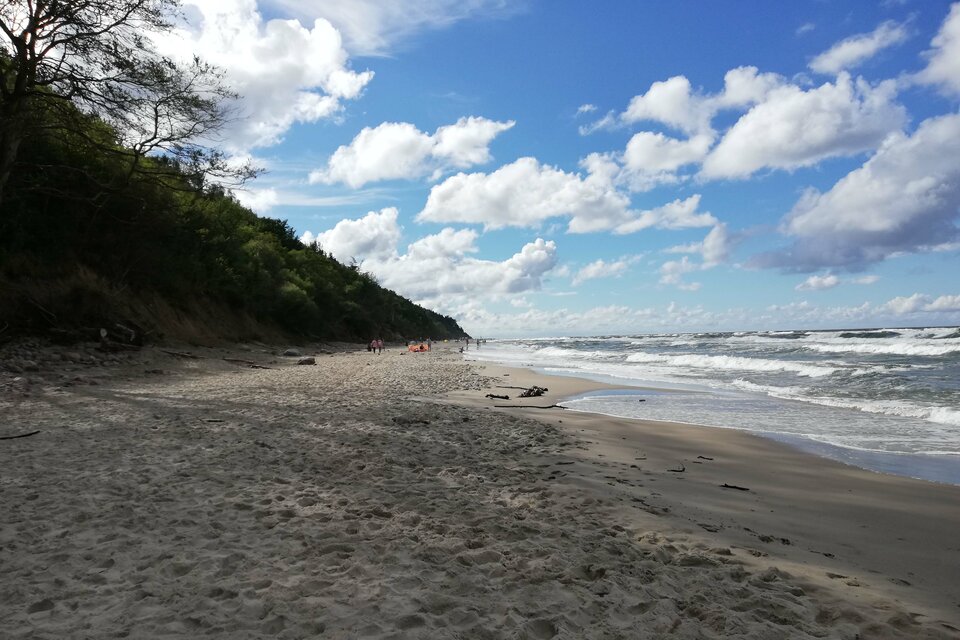 IMG_20200831_154103.jpg - lesnyjez