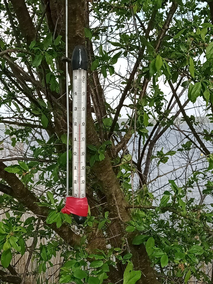 IMG20210514164319[1].jpg - lookin_