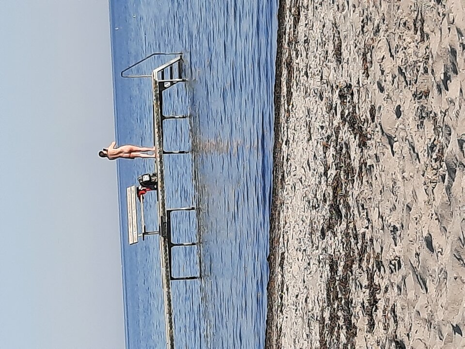 20210419_181208.jpg - maciek696969