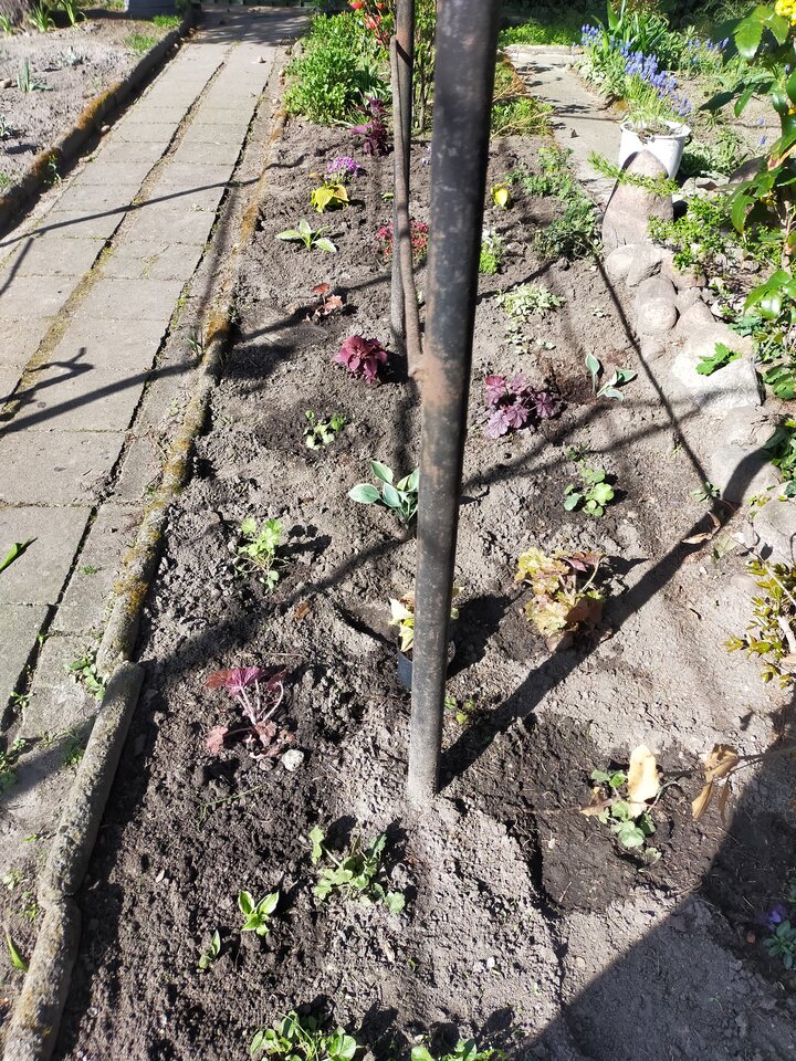 bedzie mi milo jak sie dorzuci ktos do kolejnych kwiatów :) - Diablica41