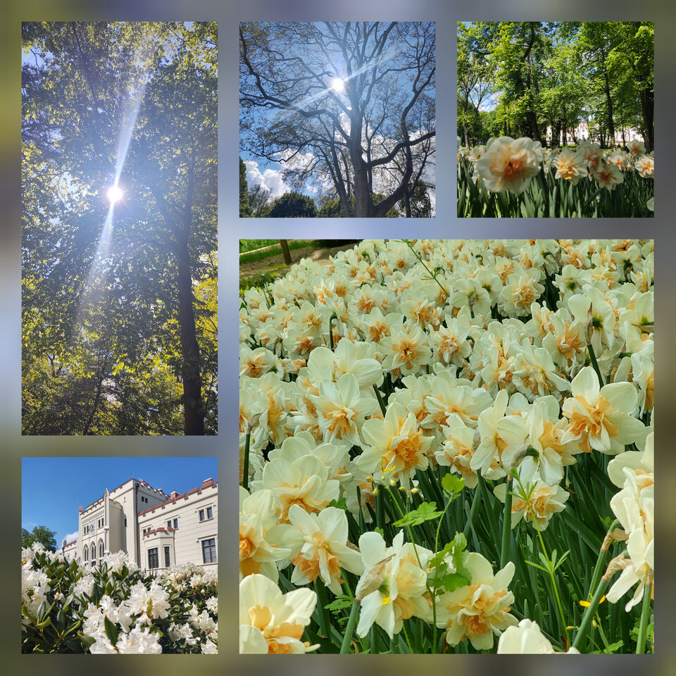 CollageMaker_20210516_151849049.jpg - ksiezniczka_ciemnosci