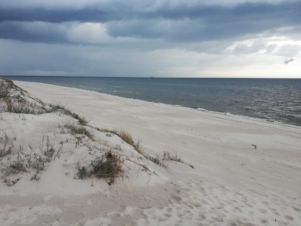 IMG_20210516_145932.jpg - jaanko