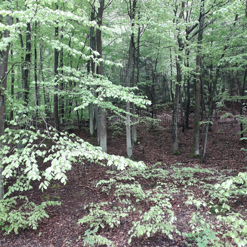 20210516_143547.jpg - Aqualife