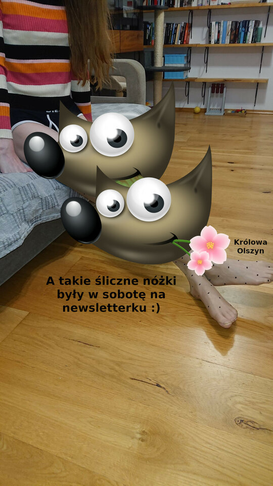 2021-05-17 DSC_2262 na portale.jpg - KrolowaOlszyn