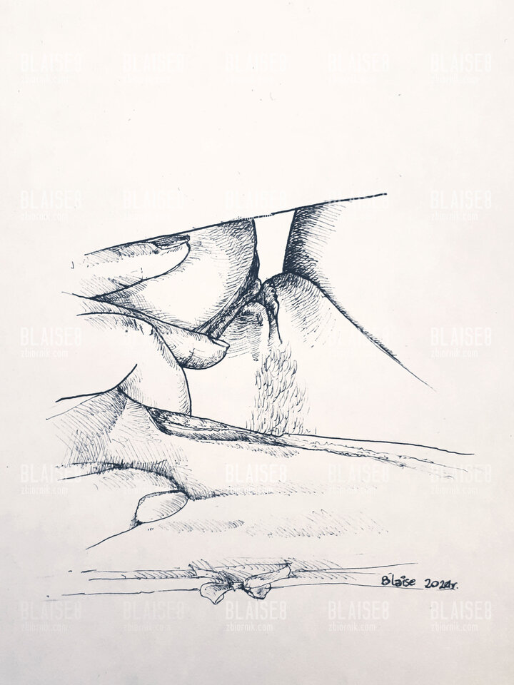 Art. No. 93 - blaise8