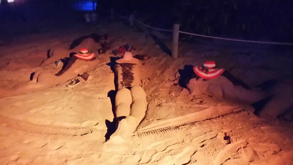 20151129_181641_LLS.jpg - piotrgdynia82