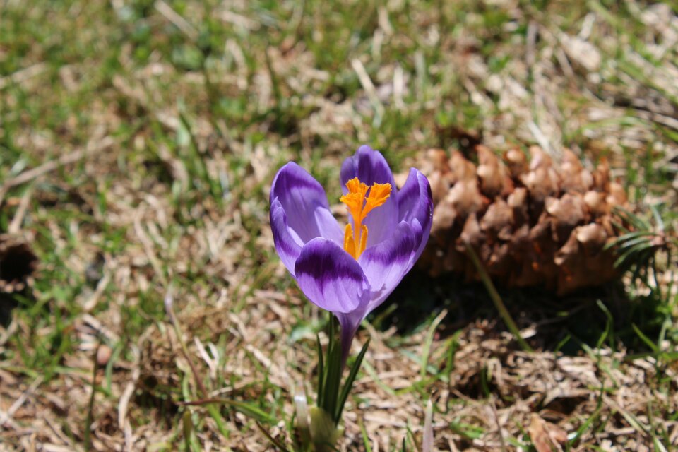 IMG_0080.jpg - MattVegass