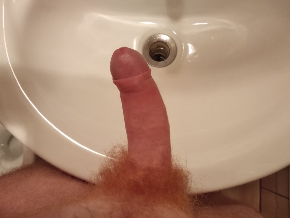 IMG_20191206_042439.jpg - tygrysekl