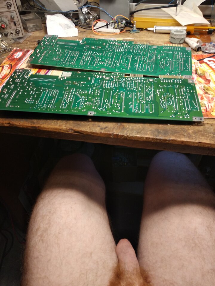 IMG_20200205_202239.jpg - tygrysekl