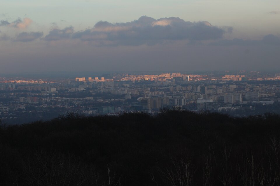 IMG_9772.jpg - MattVegass