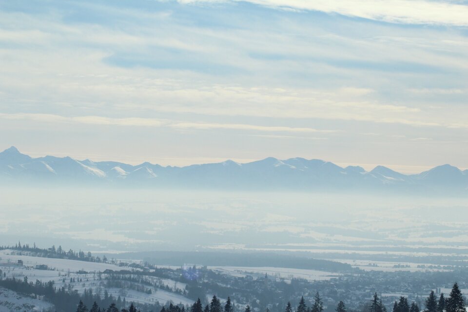 IMG_9794.jpg - MattVegass