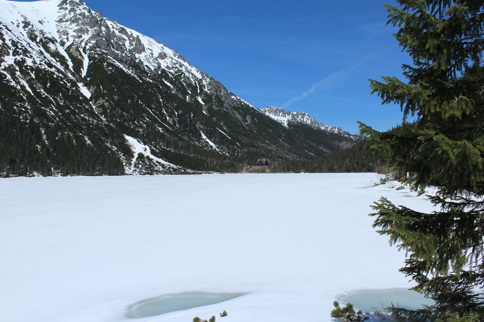 IMG_0350.jpg - MattVegass