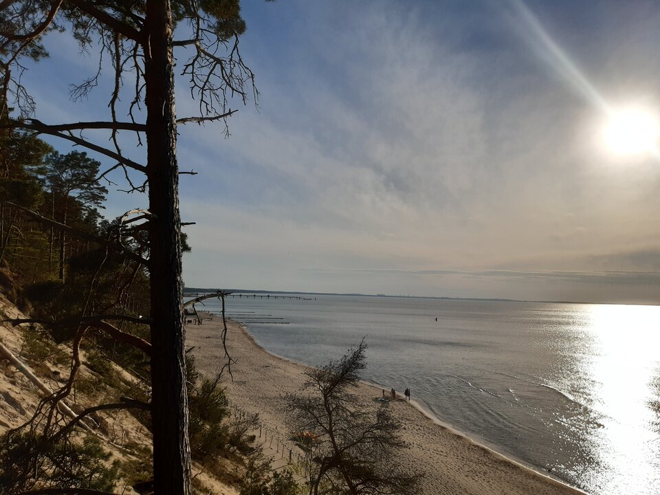 20210510_184425.jpg - torii99