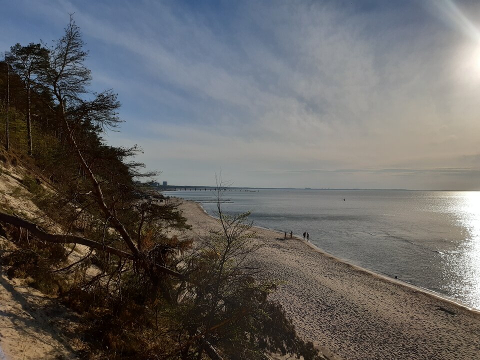 20210510_184329.jpg - torii99