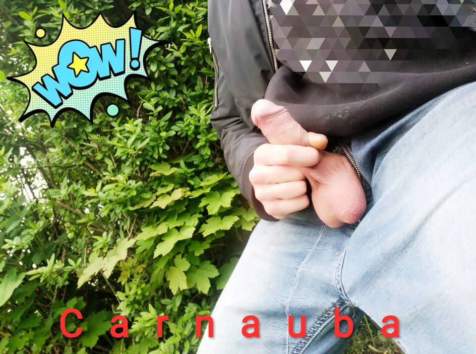 IMG_20210518_114143.jpg - Carnauba