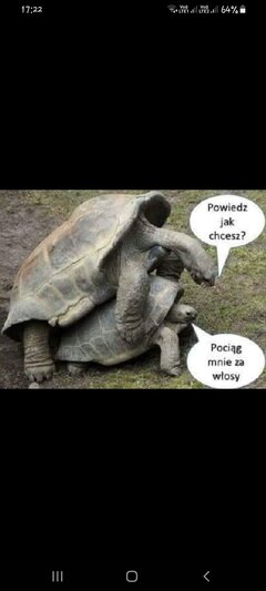 😆😆😆😅😅😅