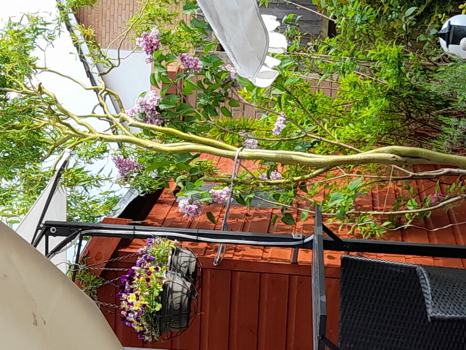 20210518_184100.jpg - adamm19777