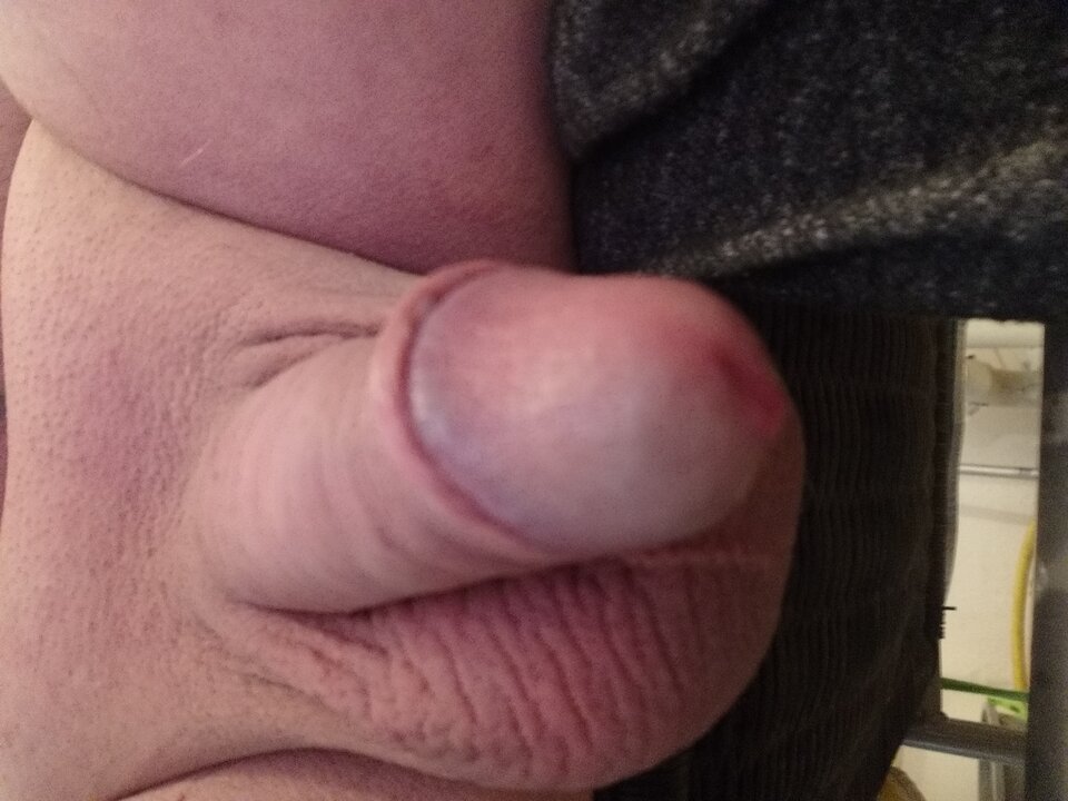 20200714_144748.jpg - niesforny1983