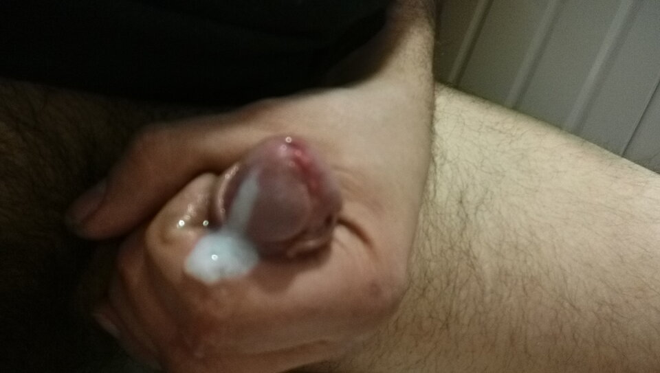 IMAG0069.jpg - Tygryseekp