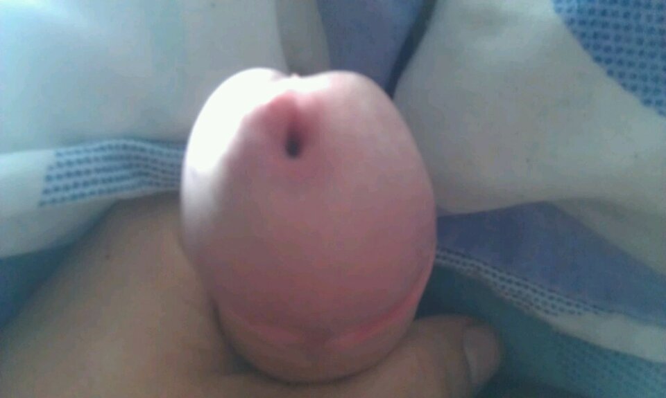 IMAG0635.jpg - Tygryseekp