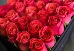 Screenshot_20210520_081050_com.android.gallery3d_edit_1890616224