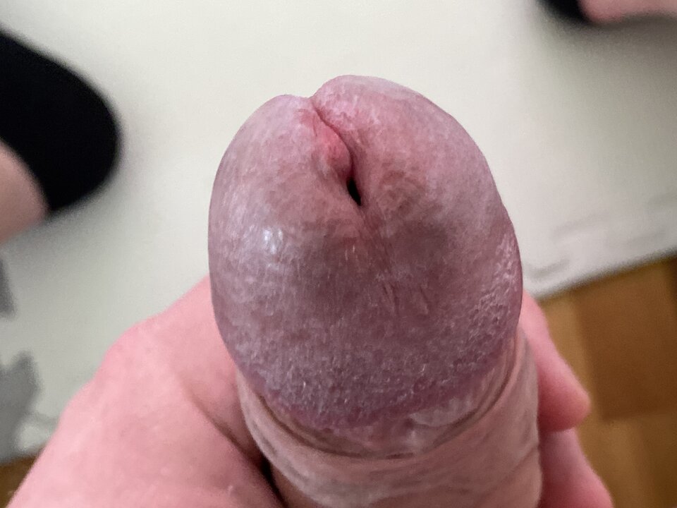 image.jpg - lordnorbi