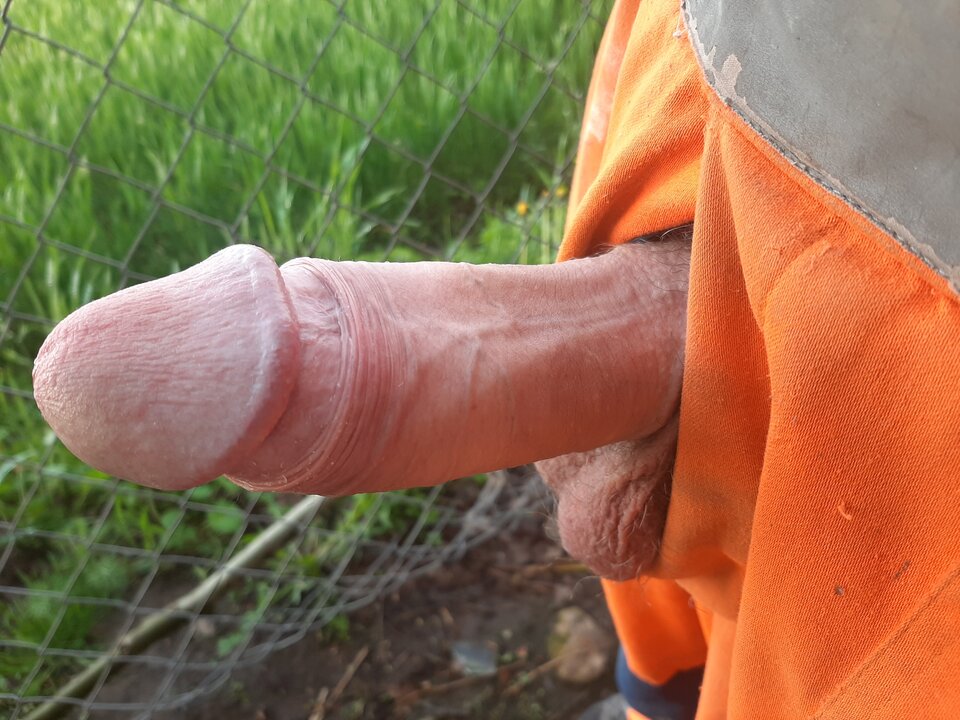 20210520_183144.jpg - Krzyszto1234