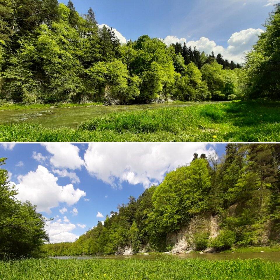 IMG_20210521_135239.jpg - BrodatyLobuz