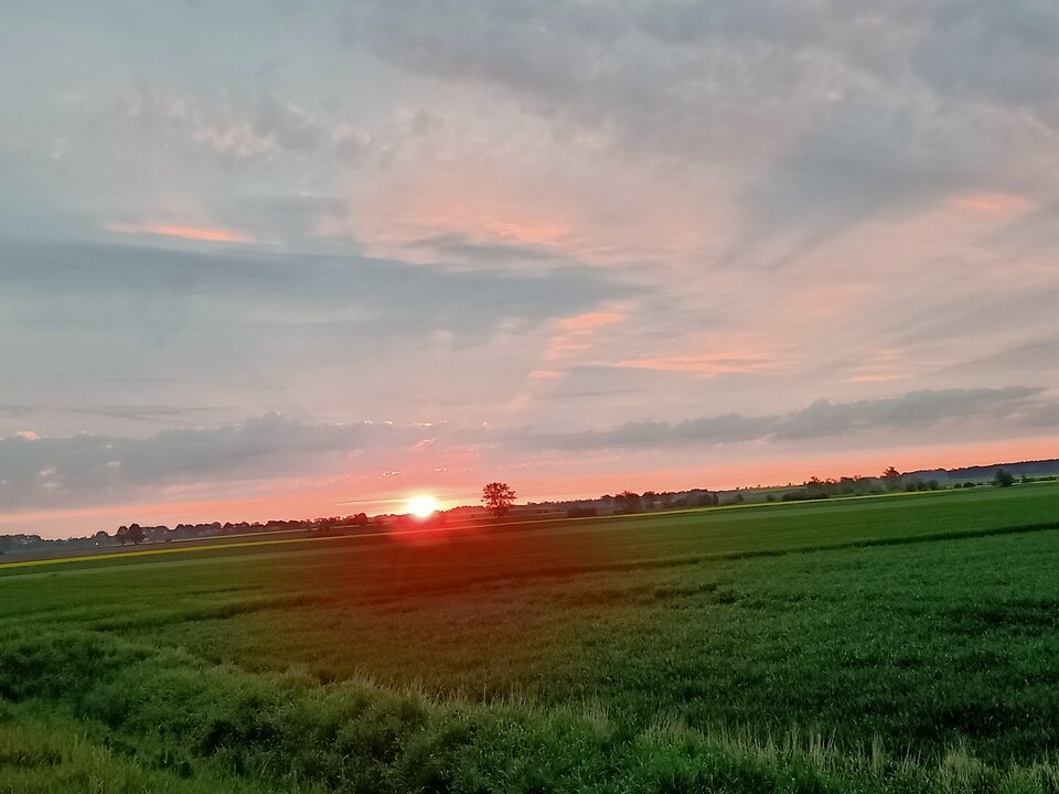 IMG20210521045723.jpg - blackhorseszcz