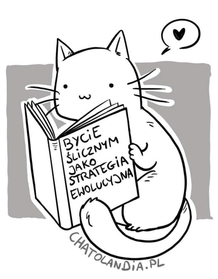 Screenshot_20210522_125758.jpg - 87urocza