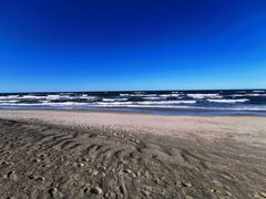 IMG_20210321_144619.jpg