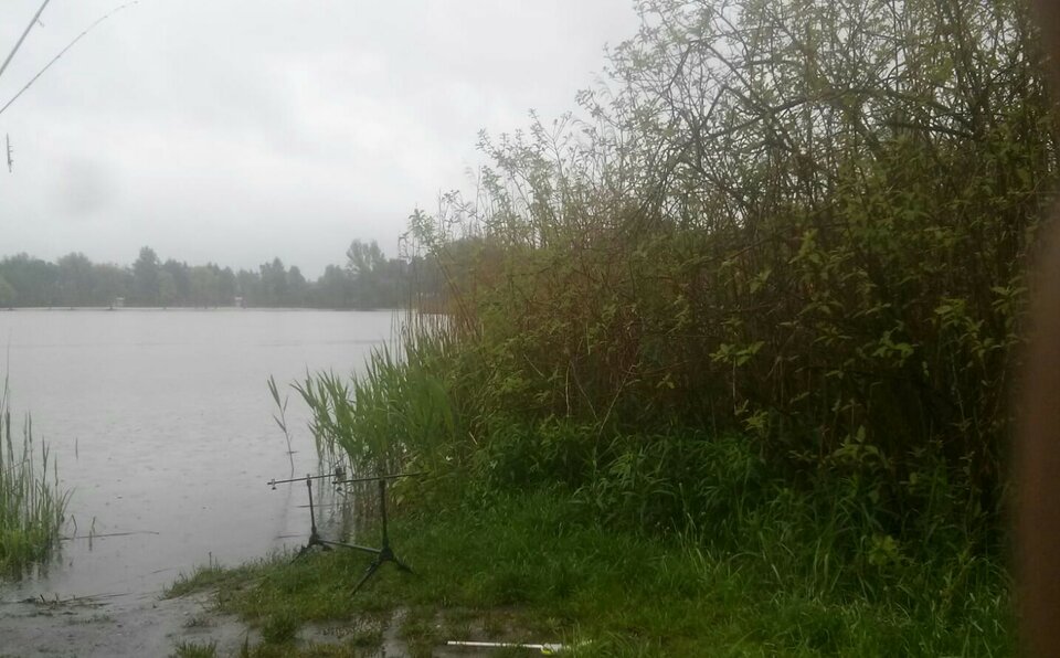 IMG-20210522-WA0001~2.jpg - wredota1987