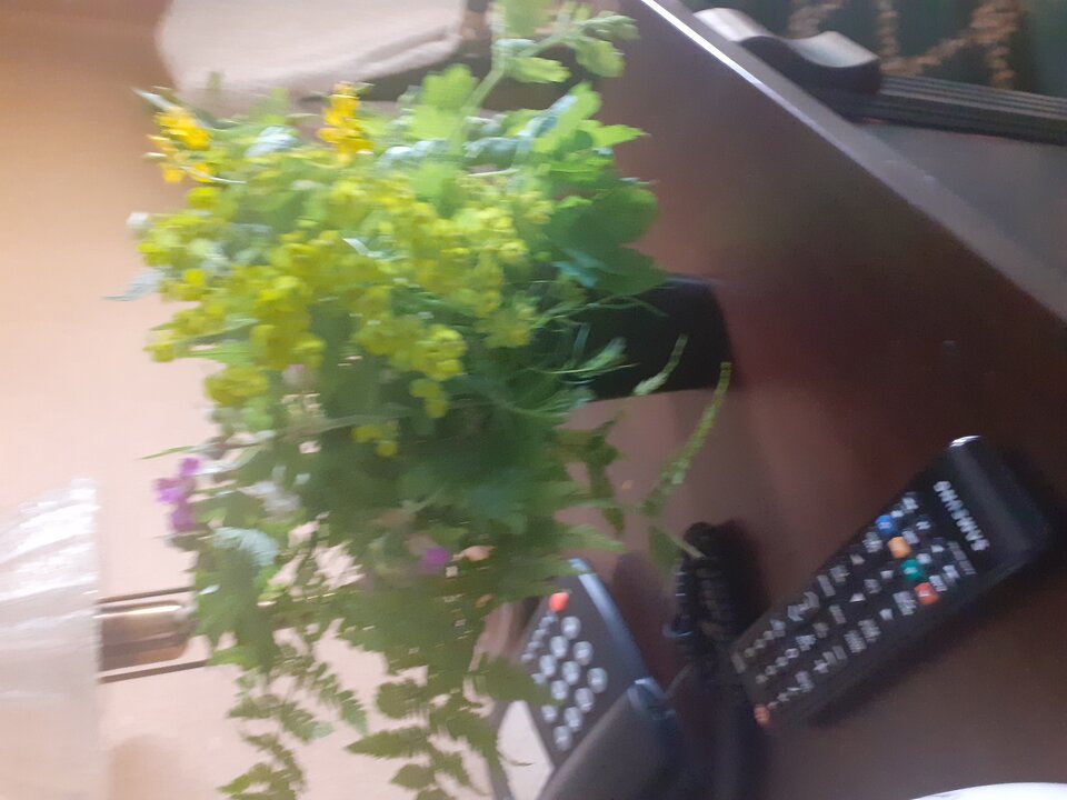 20210523_085310[1].jpg - grabi_en