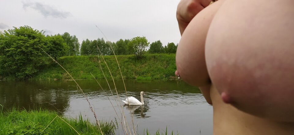 Łabędzie na Czarnej Przemszy ;)  - NaturalCouple