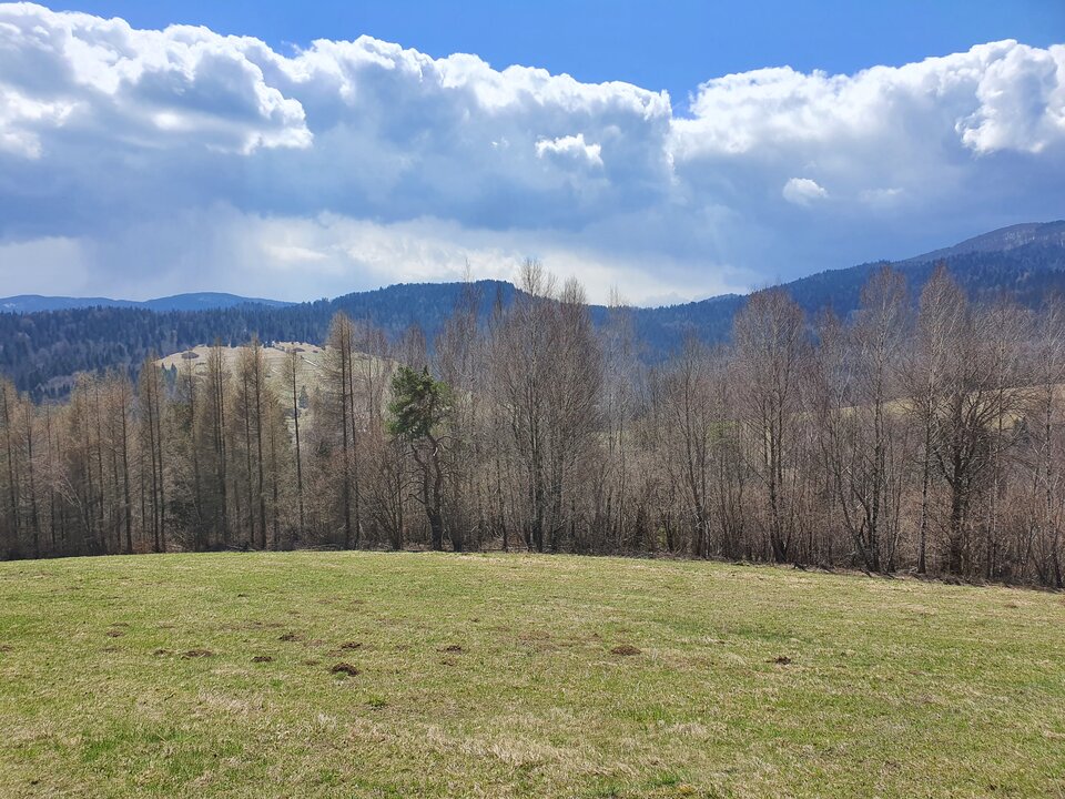 20210424_115812.jpg - samarytanin74