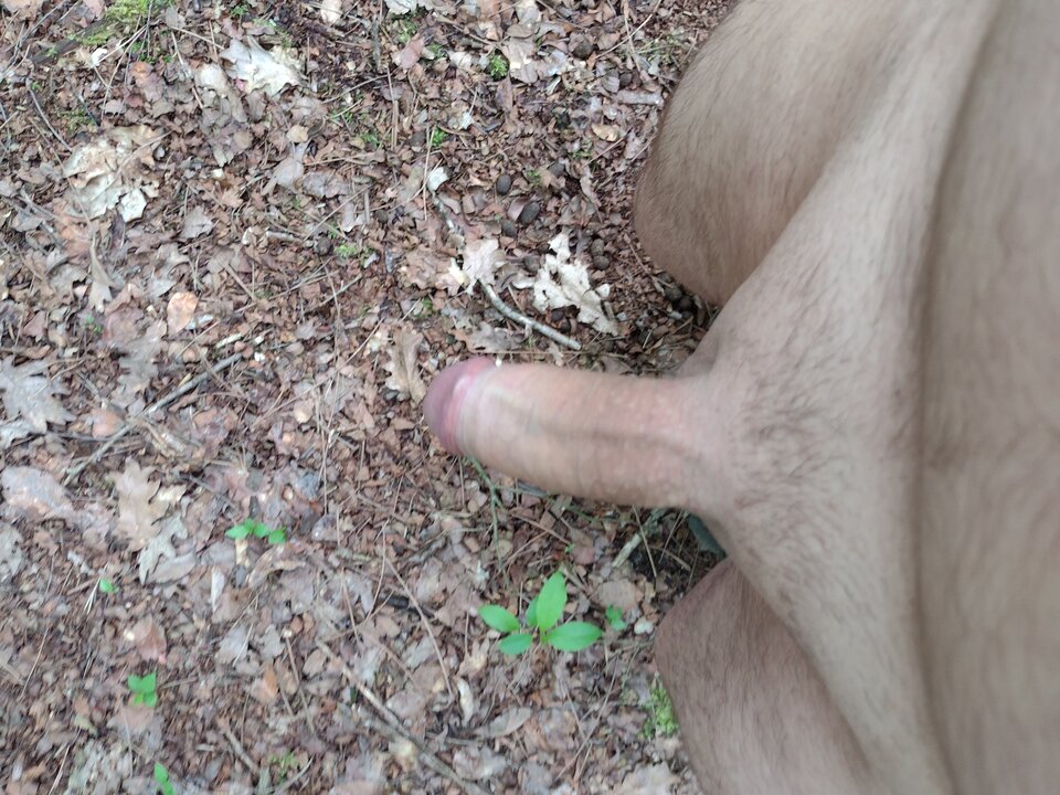 IMG_20210523_173155037.jpg - jan2121