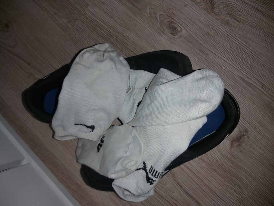 20210523_171621.jpg - darko72