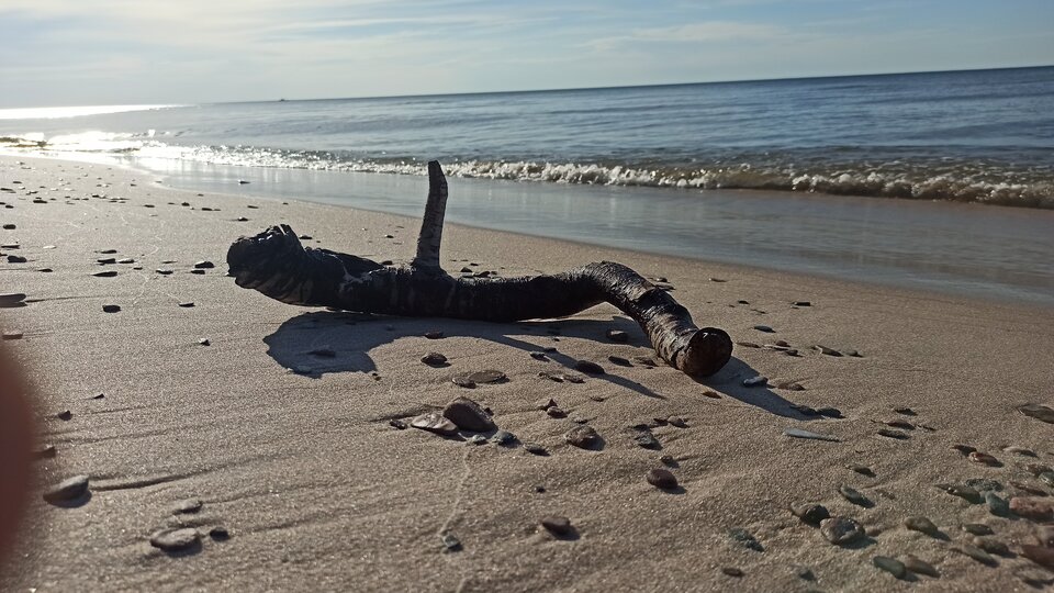 IMG_20210509_175440.jpg - artur42wawa